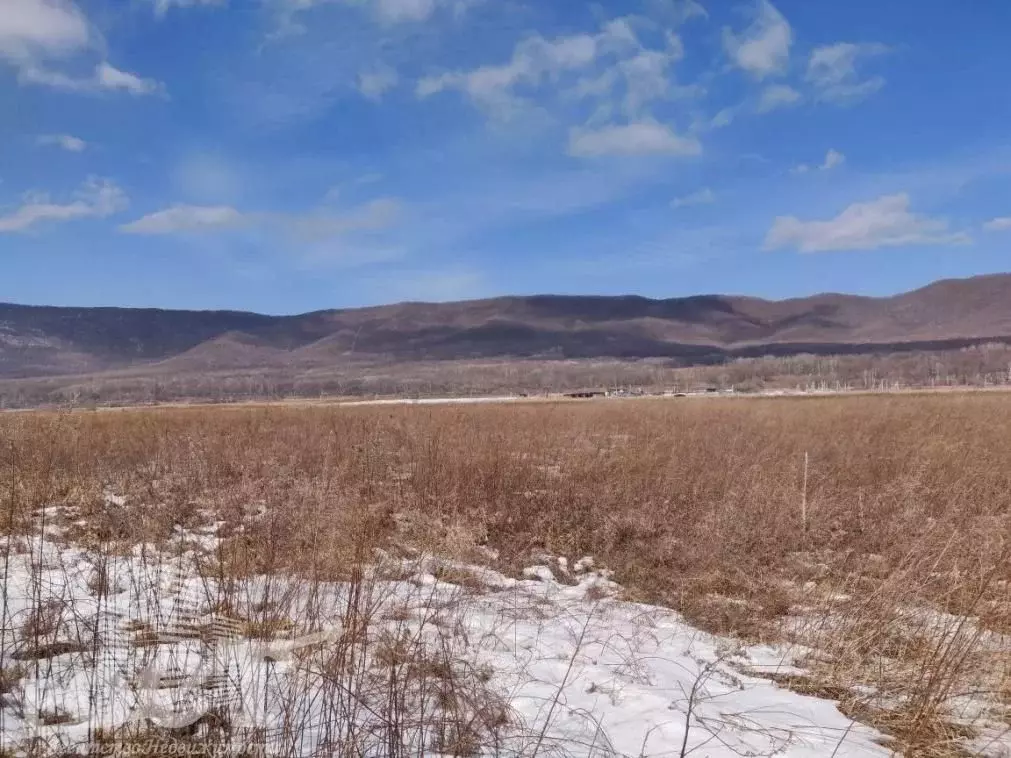 Участок в Приморский край, Шкотовский муниципальный округ, с. ... - Фото 2