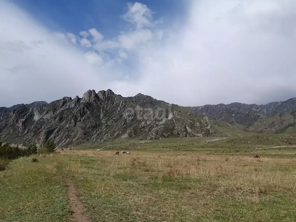 Участок в Алтай, Чемальский район, с. Куюс  (80.0 сот.) - Фото 0