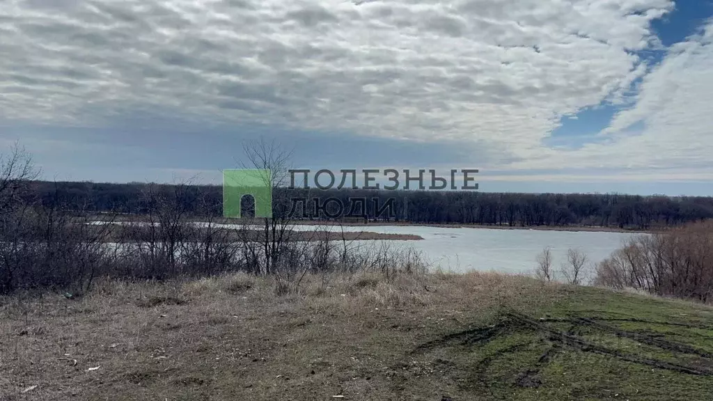 Участок в Саратовская область, Воскресенский район, Елшанское ... - Фото 1