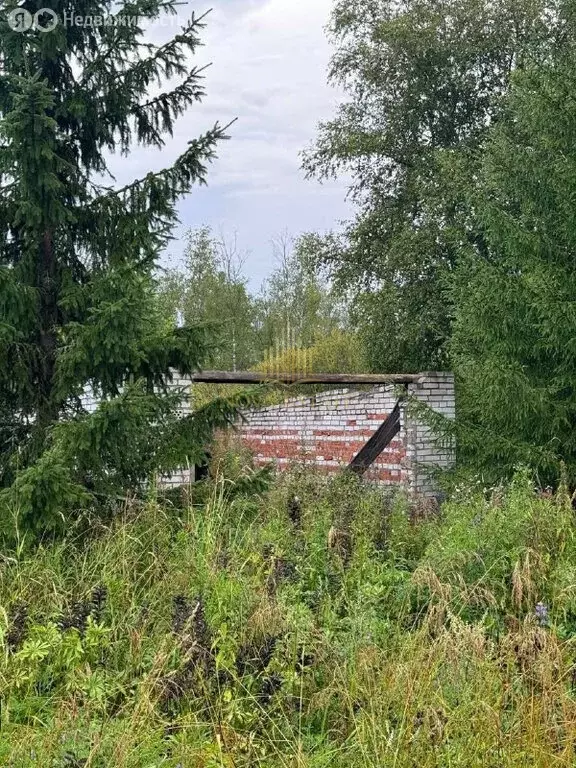 Участок в деревня Извара, 6 (43 м) - Фото 2