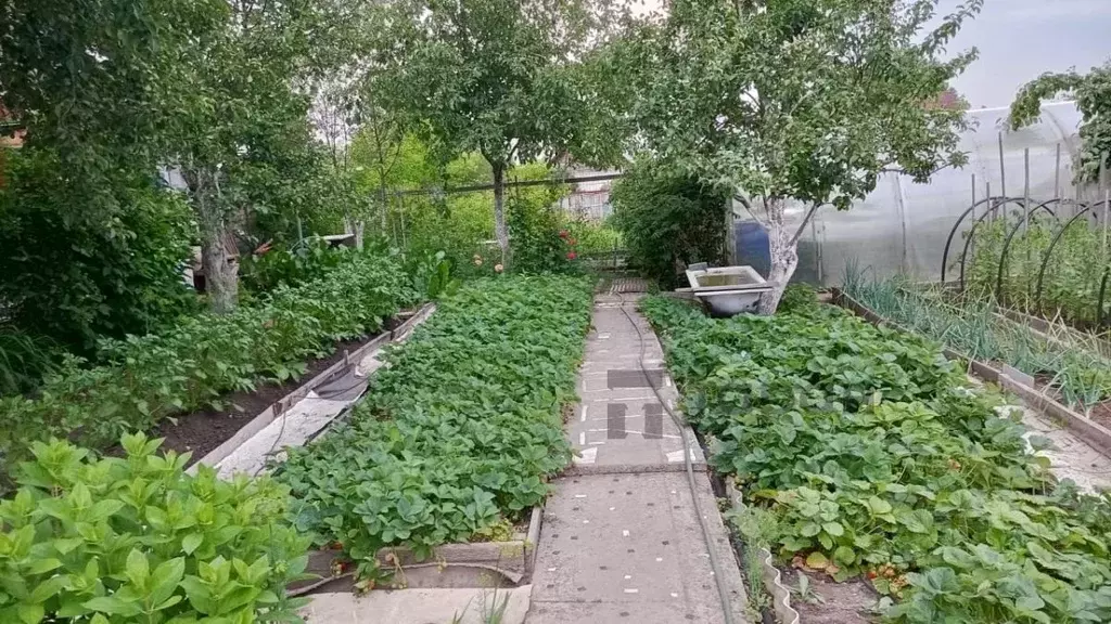 Дом в Челябинская область, Челябинск Станкостроитель-1 СНТ, ул. 6-я, ... - Фото 2