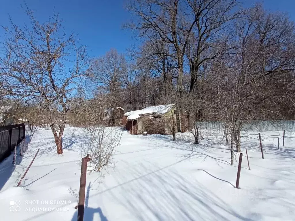 Участок в Нижегородская область, Нижний Новгород Заветы Мичурина Сад № ... - Фото 1