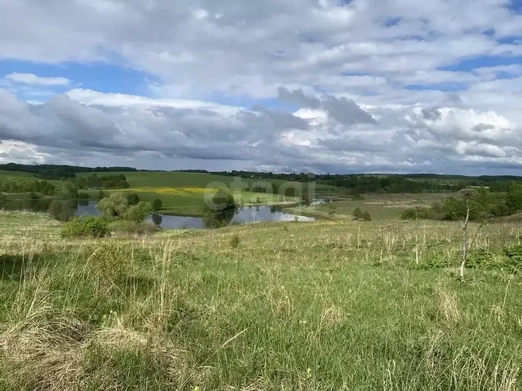 Участок в Калужская область, Малоярославецкий муниципальный округ, с. ... - Фото 2
