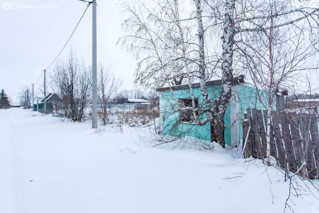 Участок в Тобольск, садоводческое товарищество Родничок, Западная ... - Фото 1