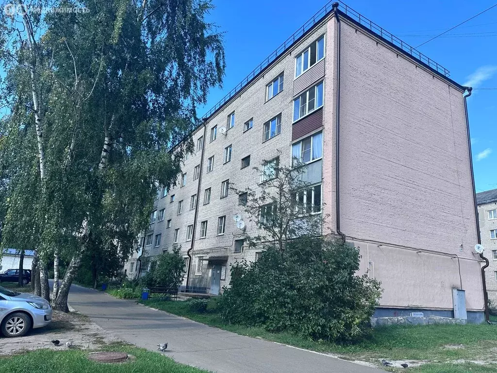 1-комнатная квартира: Электрогорск, Пионерская улица, 3А (31.7 м) - Фото 2