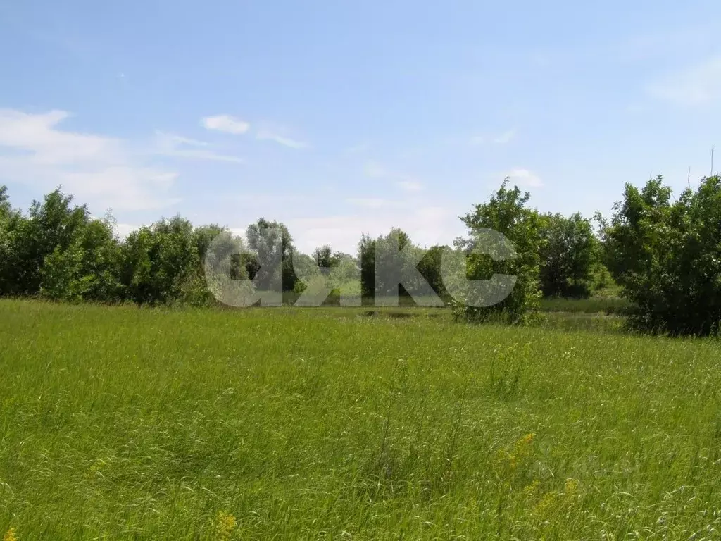 Участок в Волгоградская область, Ленинский район, Каршевитское с/пос, ... - Фото 1