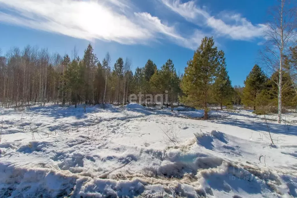 Участок в Тюменская область, Нижнетавдинский район, Сундукуль СНТ  ... - Фото 1