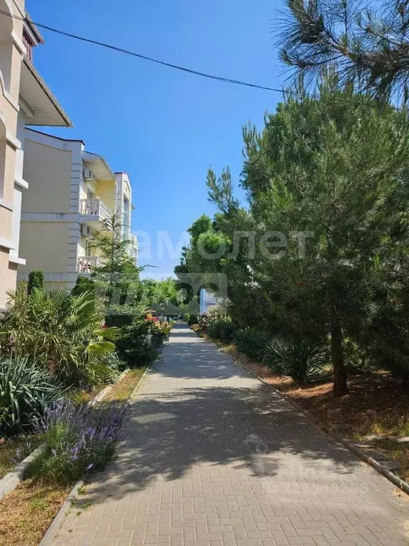 Студия Севастополь ул. Челюскинцев, 49 (20.1 м) - Фото 2