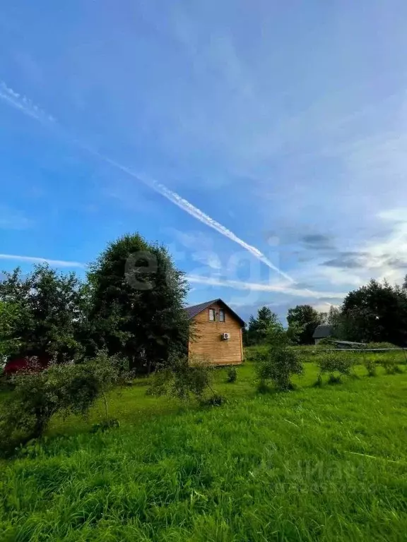 Дом в Тверская область, Нелидовский муниципальный округ, д. Борисово 3 ... - Фото 2