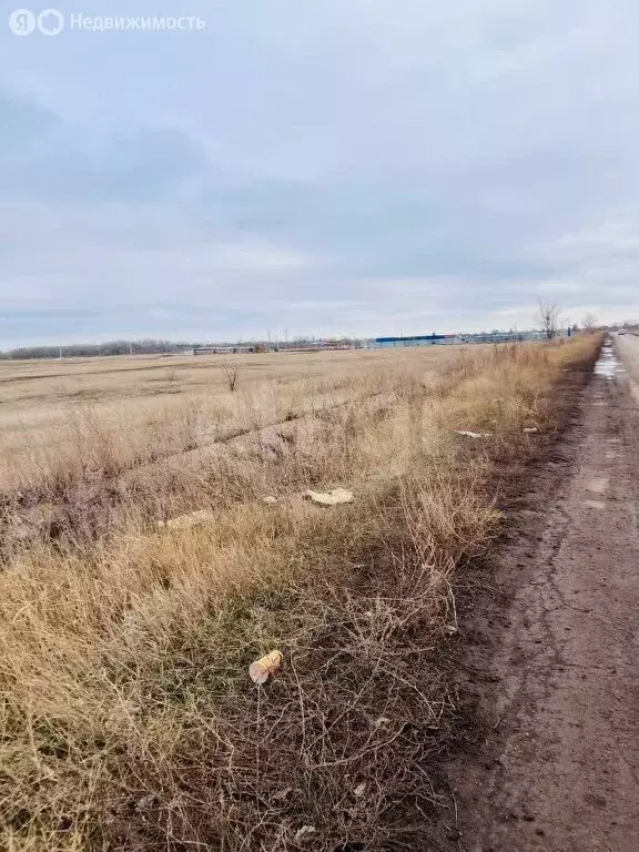 Участок в Энгельсский район, Красноярское муниципальное образование, ... - Фото 0