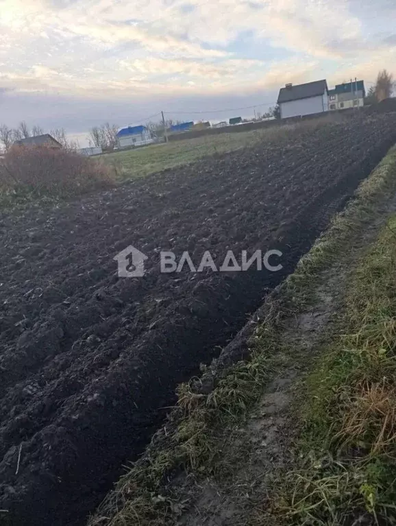 Участок в Владимирская область, Суздальский район, с. Павловское Новая ... - Фото 1