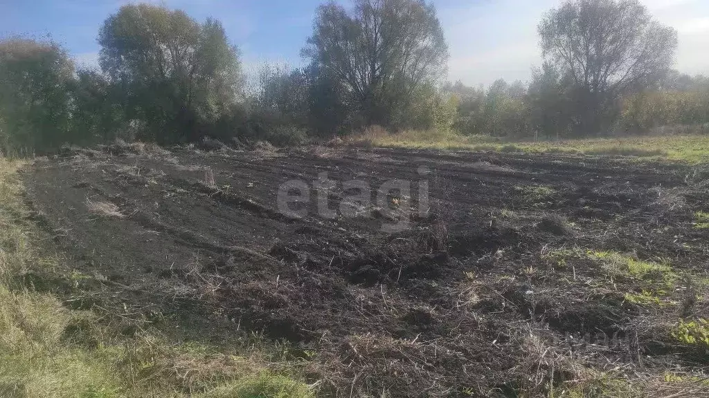 Участок в Башкортостан, Уфимский район, Зубовский сельсовет, с. Зубово ... - Фото 2