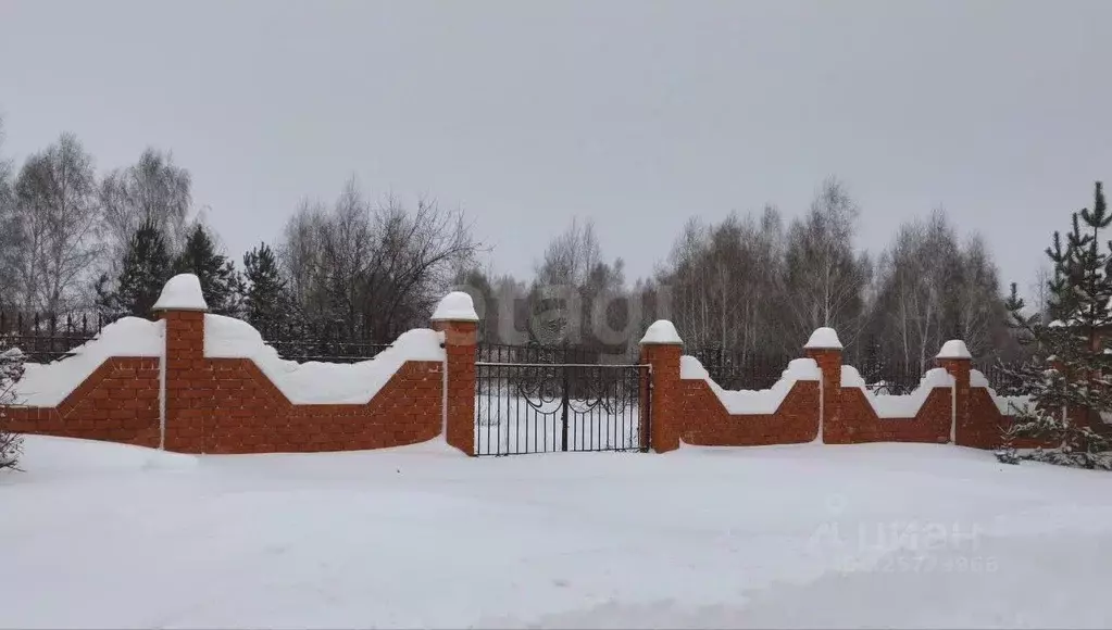 Участок в Алтайский край, Барнаул городской округ, пос. Бельмесево ул. ... - Фото 2