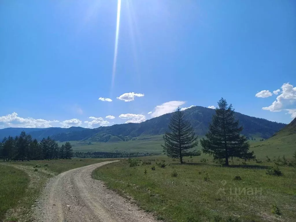 Участок в Алтай, Онгудайский район, с. Ело  (1.0 га.) - Фото 1