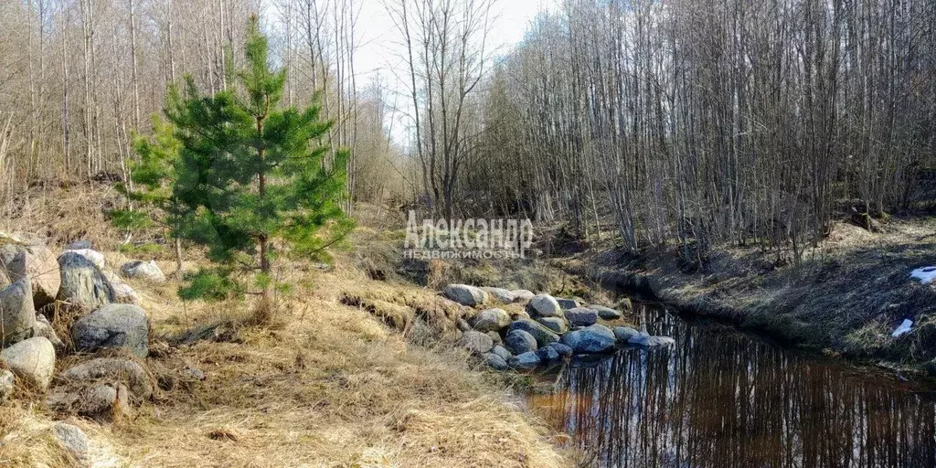 Участок 8,5 сот. (СНТ, ДНП) - Фото 1