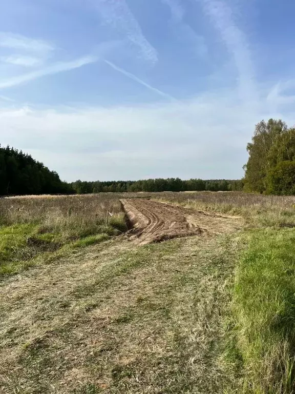 Участок в Московская область, Раменский муниципальный округ, Опушкино ... - Фото 1