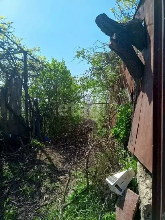 Участок в Ростовская область, Ростов-на-Дону Электрик СТ,  (6.25 сот.) - Фото 1