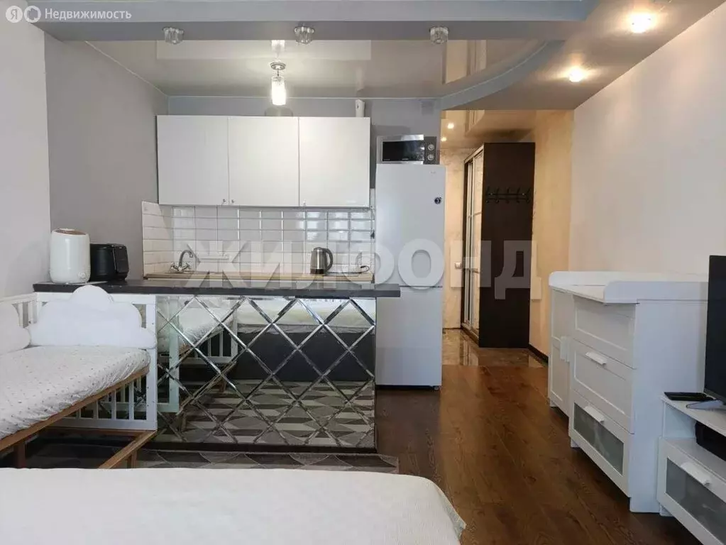 Квартира-студия: Новосибирск, Троллейная улица, 12 (28.8 м) - Фото 1