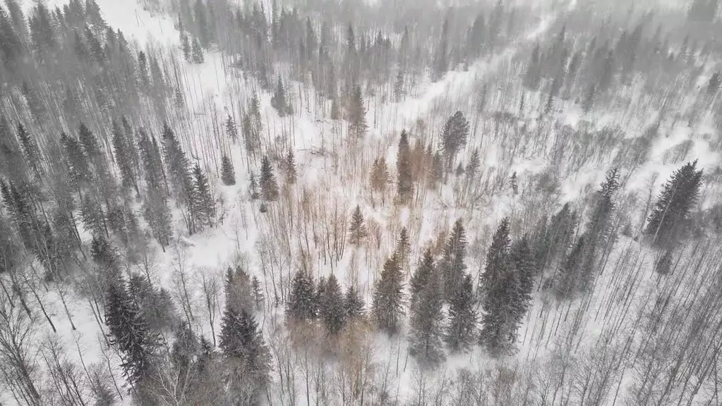Участок в Томская область, Томск ул. Связистов (19.0 сот.) - Фото 2