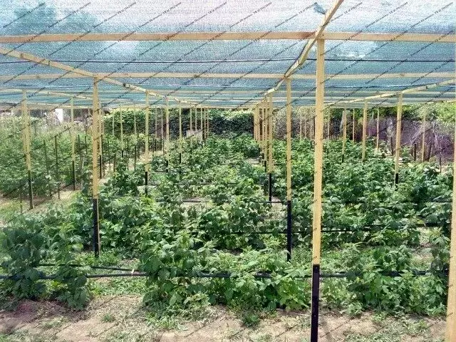 Дом в Волгоградская область, Среднеахтубинский район, Красное с/пос, ... - Фото 2