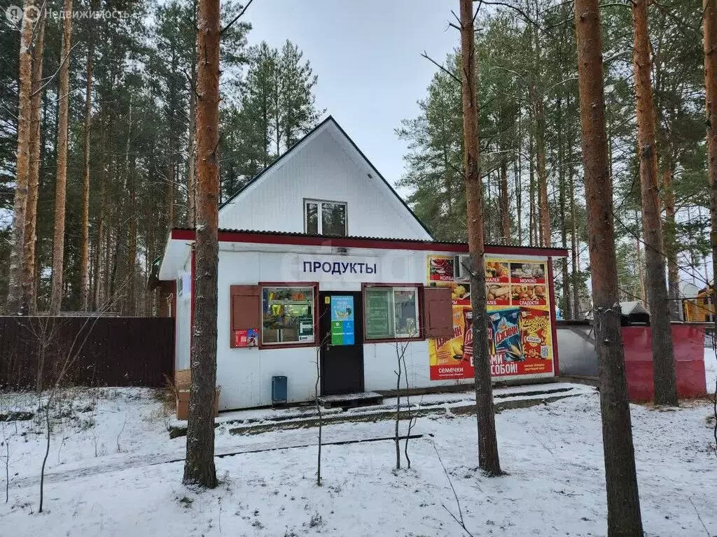 Участок в село Выльгорт, Сосновая улица (1.5 м) - Фото 1