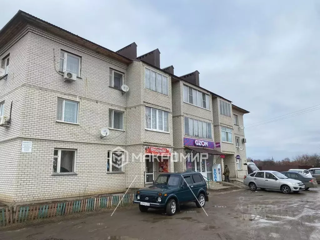 1-к кв. Орловская область, Кромы пгт ул. К. Маркса, 90 (40.6 м) - Фото 0