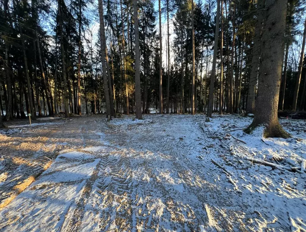 Участок в Московская область, Чехов муниципальный округ, д. Слепушкино ... - Фото 1