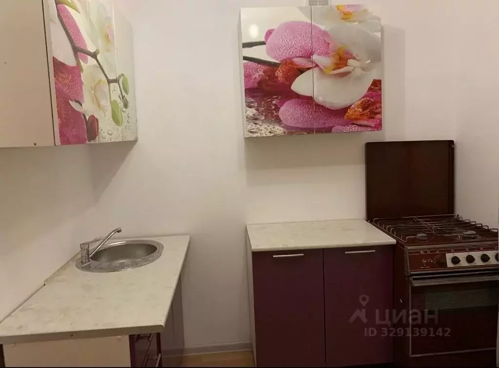 1-к кв. Коми, Сыктывкар ул. Пушкина, 132 (32.0 м) - Фото 1