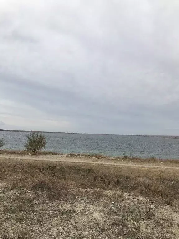 Участок в Крым, Евпатория городской округ, Новоозерное пгт пл. ... - Фото 1