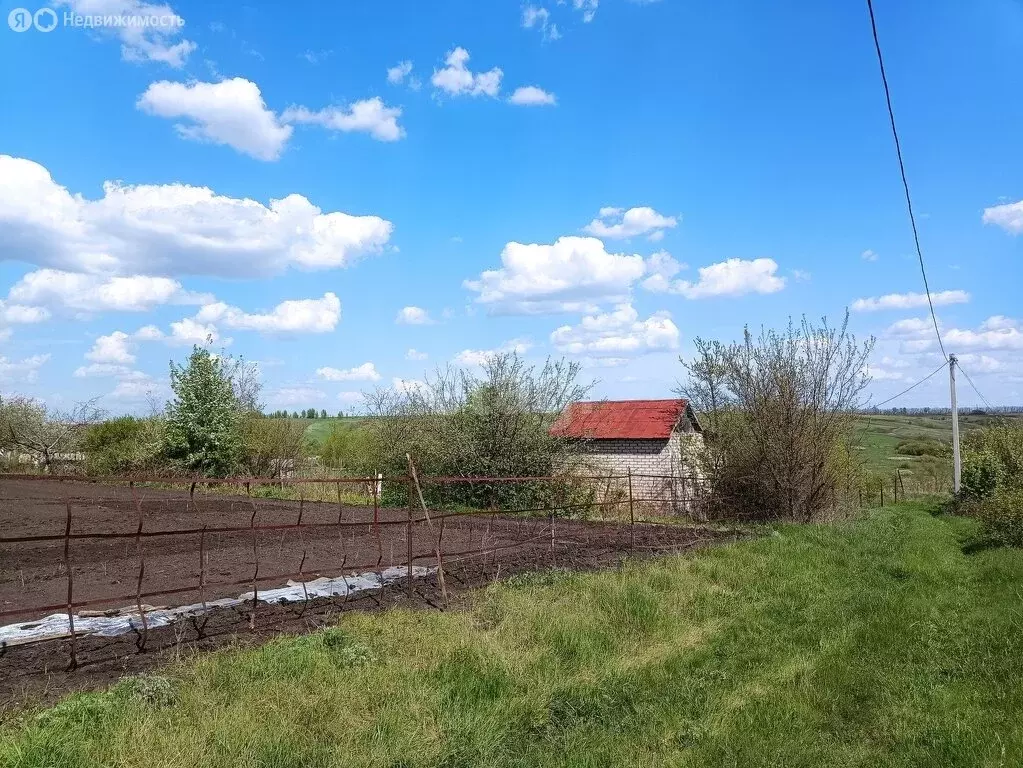 Дом в Воронежская область, Хохольское городское поселение, СНТ Крона-3 ... - Фото 1