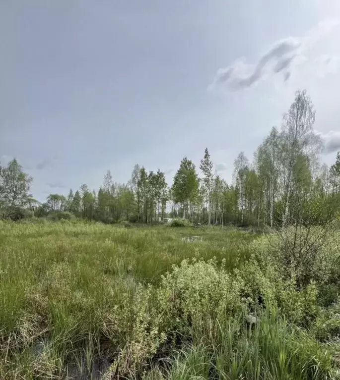 Участок в Псковская область, Псков ул. Самкова (15.0 сот.) - Фото 1
