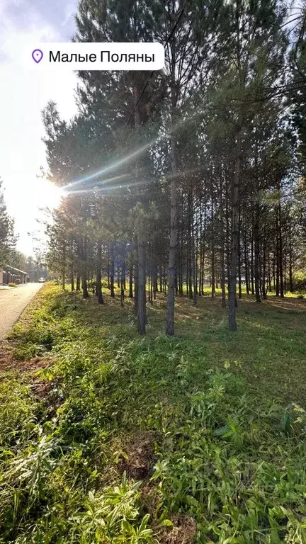 Участок в Новосибирская область, Новосибирский район, Кубовинский ... - Фото 0