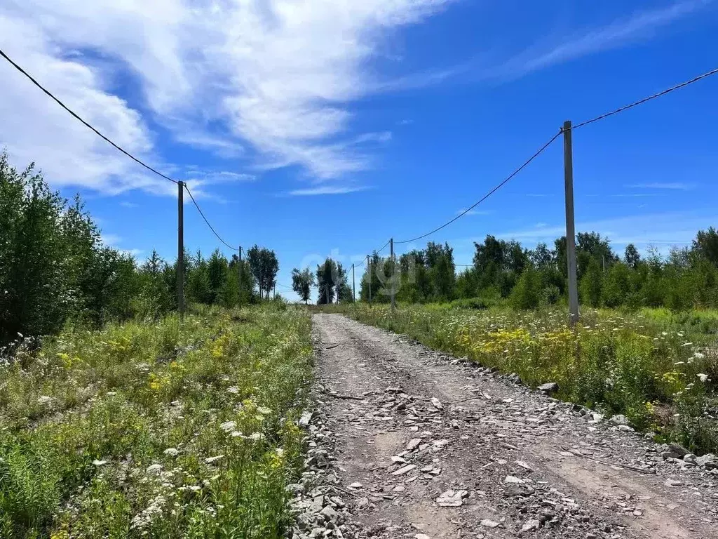 участок в нижегородская область, кстовский муниципальный округ, с. . - Фото 1