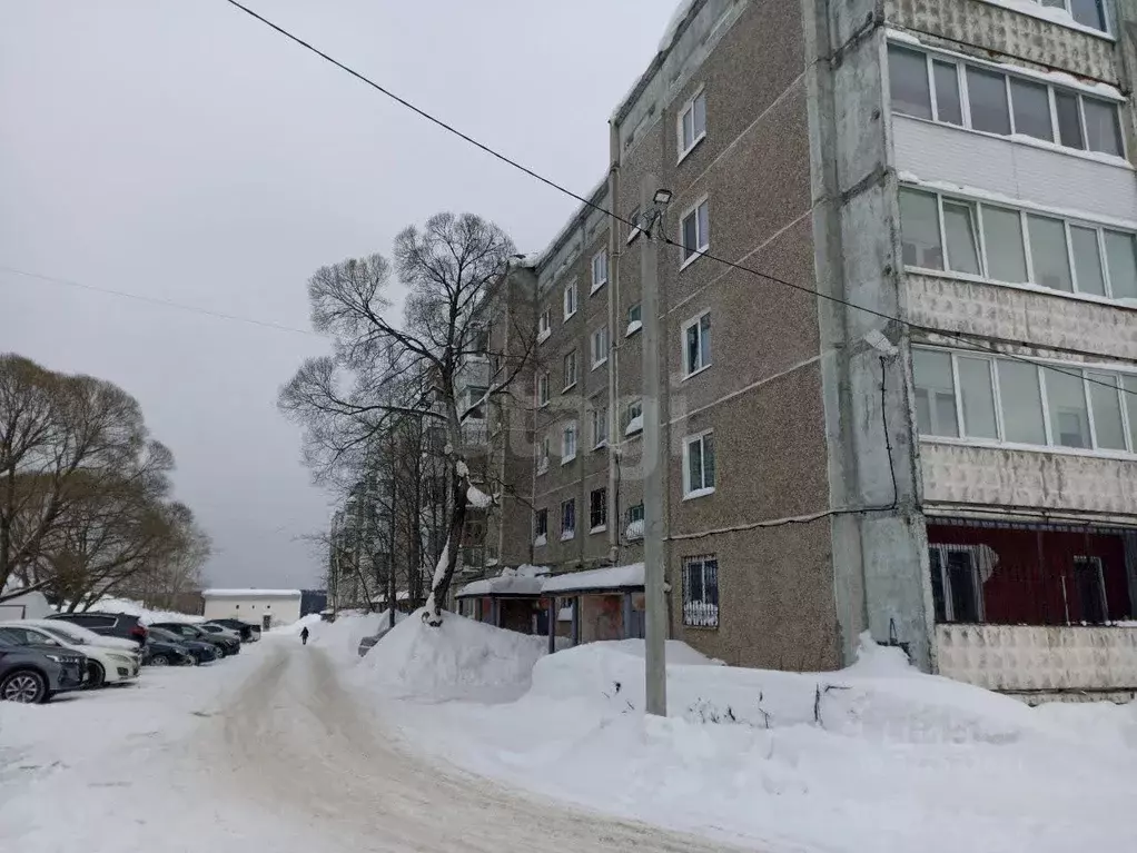 2-к кв. Пермский край, Березники ул. Свердлова, 99 (48.4 м) - Фото 2