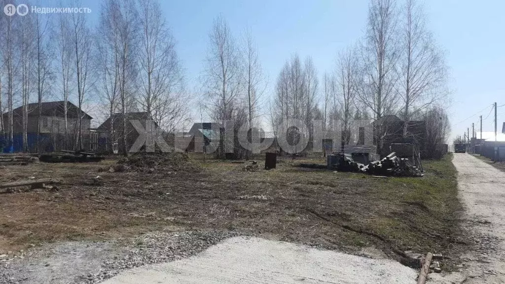 Участок в Новосибирский район, Каменский сельсовет, село Каменка (10 ... - Фото 1