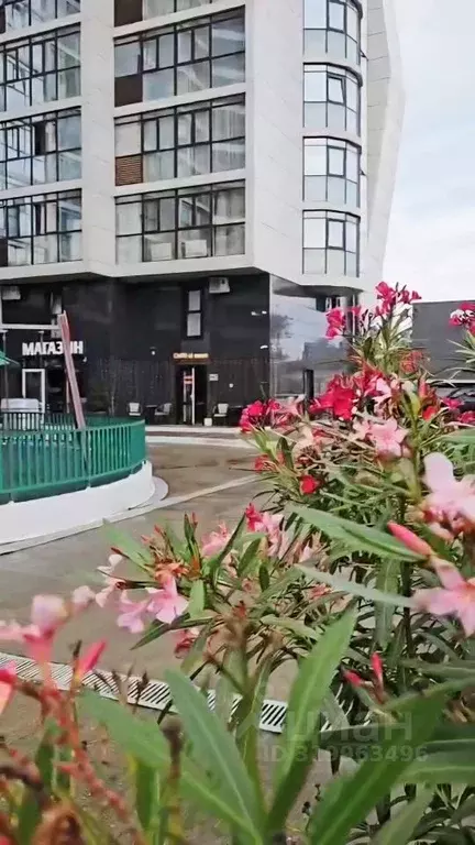 2-к кв. Краснодарский край, Сочи Виноградная ул., 4 (80.0 м) - Фото 1