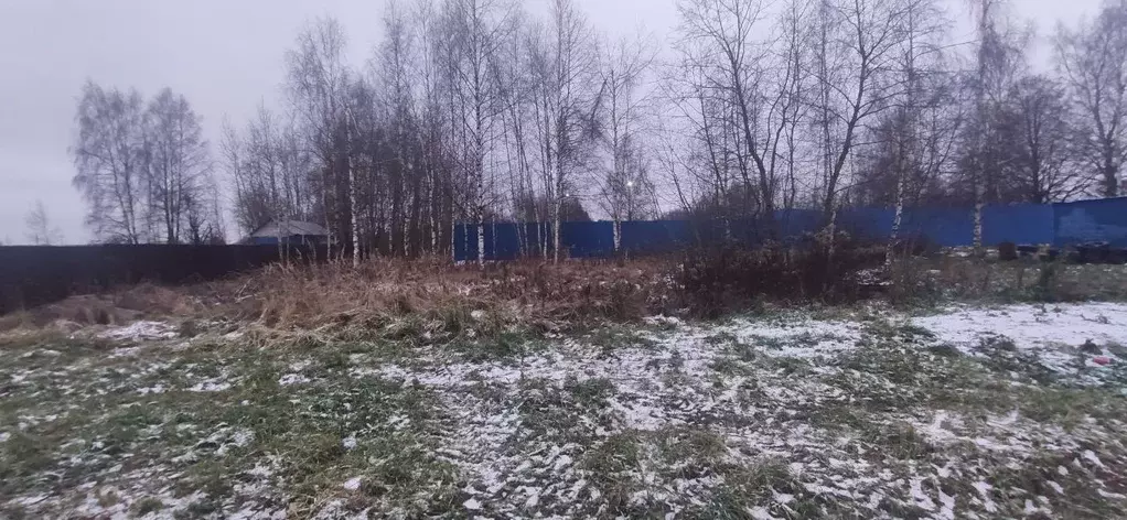 Участок в Московская область, Талдомский городской округ, д. Павловичи ... - Фото 1