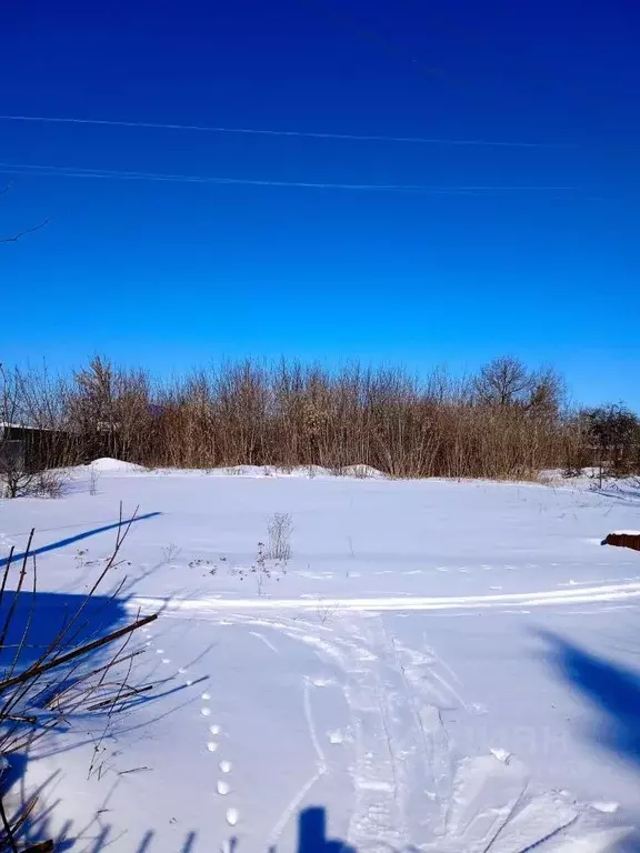 Участок в Курская область, Курский район, Щетинский сельсовет, пос. ... - Фото 1