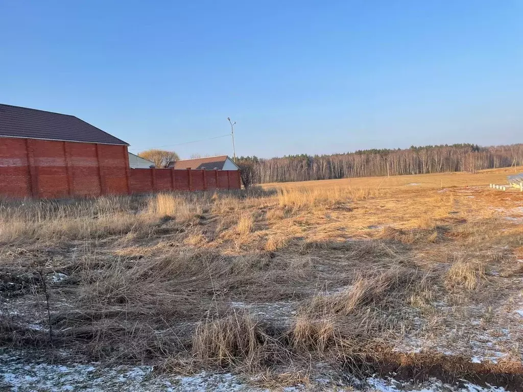 Участок в Московская область, Домодедово городской округ, д. Михеево  ... - Фото 0