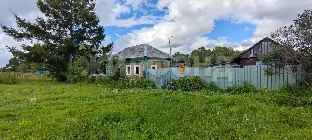 Дом в Новосибирская область, Коченевский район, Лесная Поляна ст. ... - Фото 2