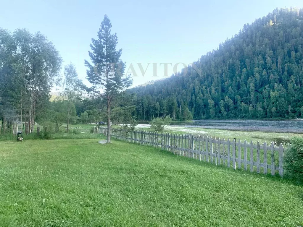 Участок в Алтай, Турочакский район, с. Артыбаш ул. Юртокская (1.07 ... - Фото 2