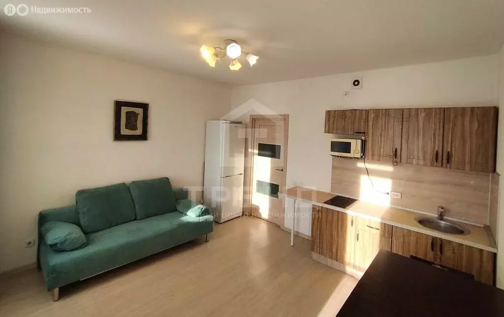 Квартира-студия: Бугры, Воронцовский бульвар, 11к5 (30.7 м) - Фото 2