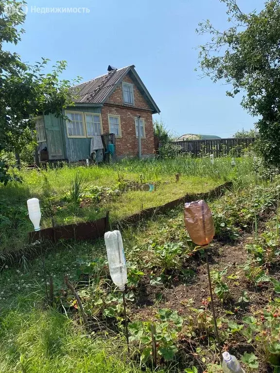 Участок в Октябрьский, СНТ Новинка (6.9 м) - Фото 1