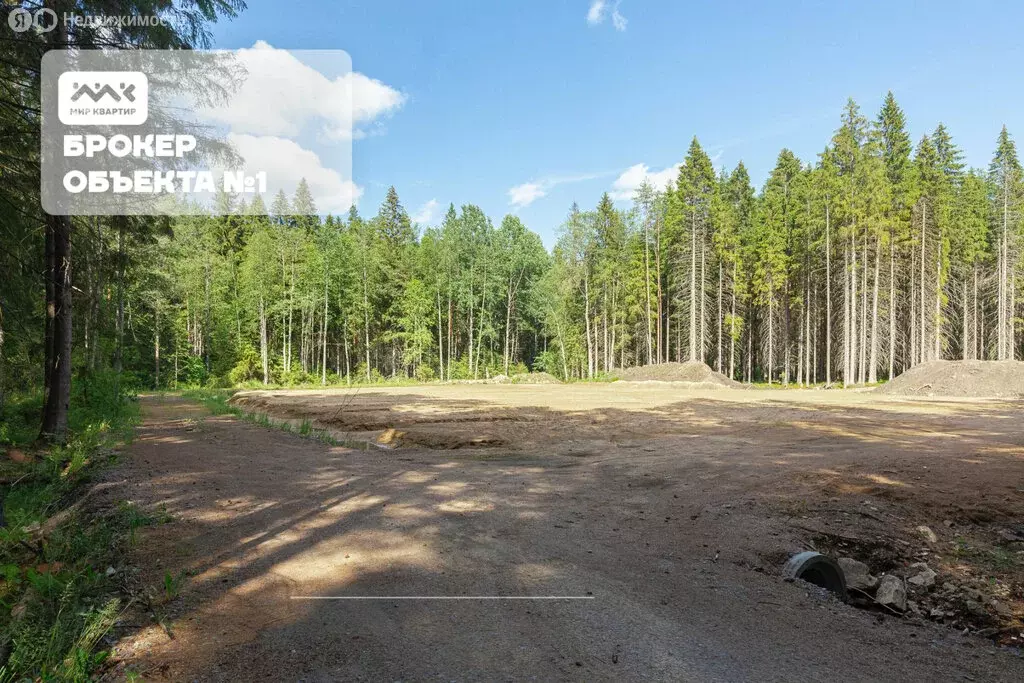 Участок в Зеленогорск, Лесная улица (24 м) - Фото 2