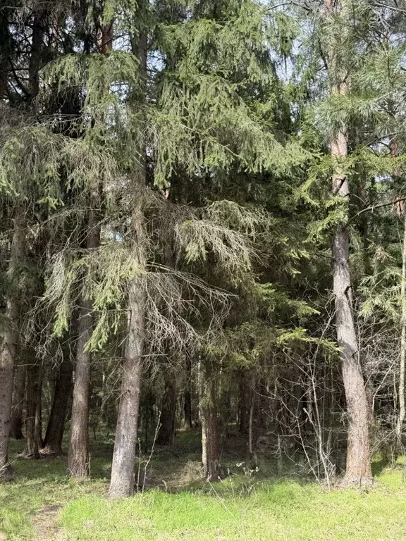 Дом в Московская область, Наро-Фоминский городской округ, Верейский ... - Фото 2