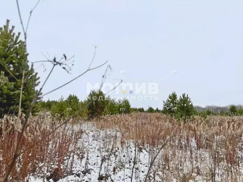 Участок в Тюменская область, Тюменский муниципальный округ, ... - Фото 2