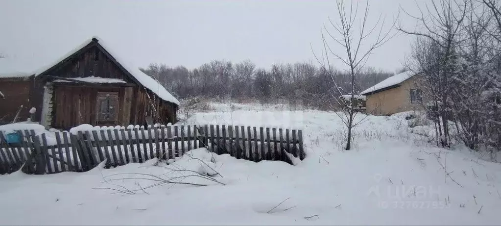 Участок в Алтайский край, Красногорский район, пос. Долина Свободы ул. ... - Фото 1
