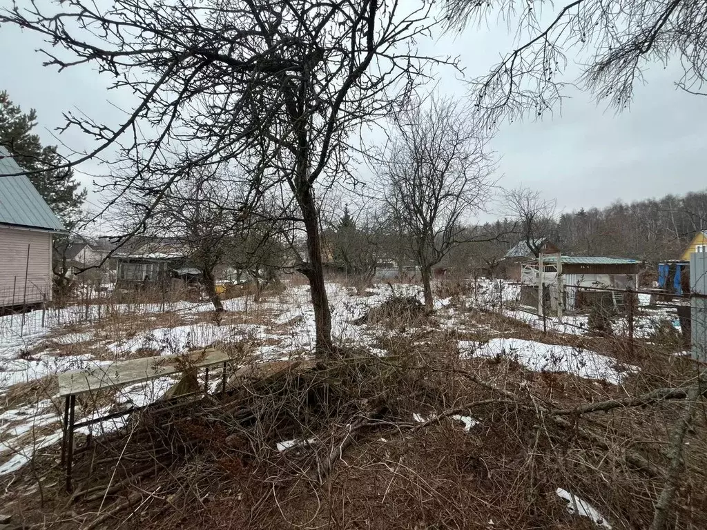 Участок в Московская область, Мытищи Мосводоканал-2 СНТ, 160 (8.0 ... - Фото 0