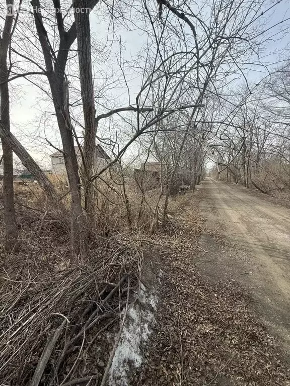 Участок в село Кневичи (7.7999997 м) - Фото 1