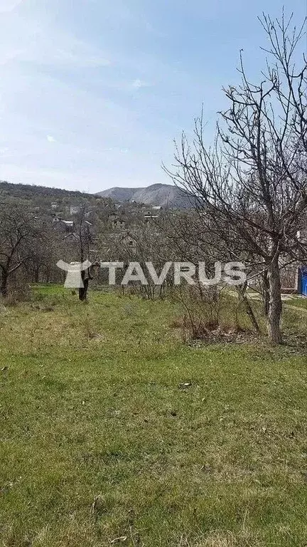 Участок в Крым, Симферопольский район, Добровское с/пос, Строитель ... - Фото 1